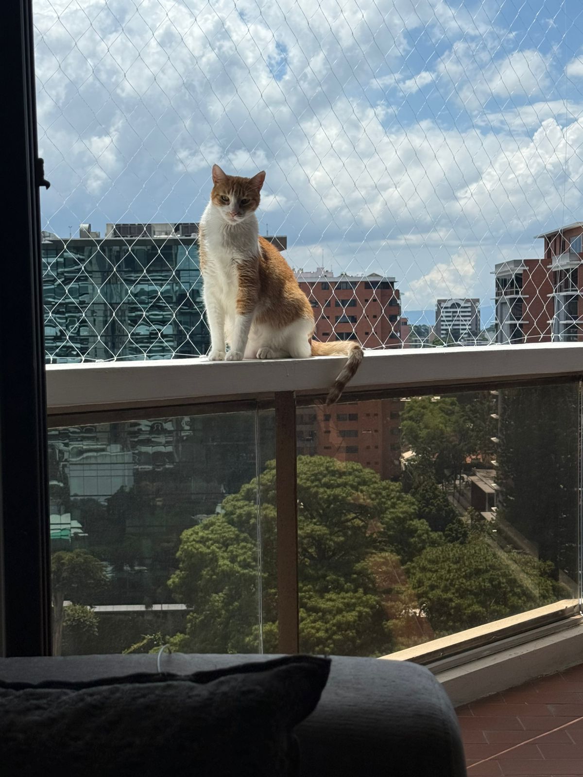 WhatsApp Image 2026-01-08 at 8.50.41 PM