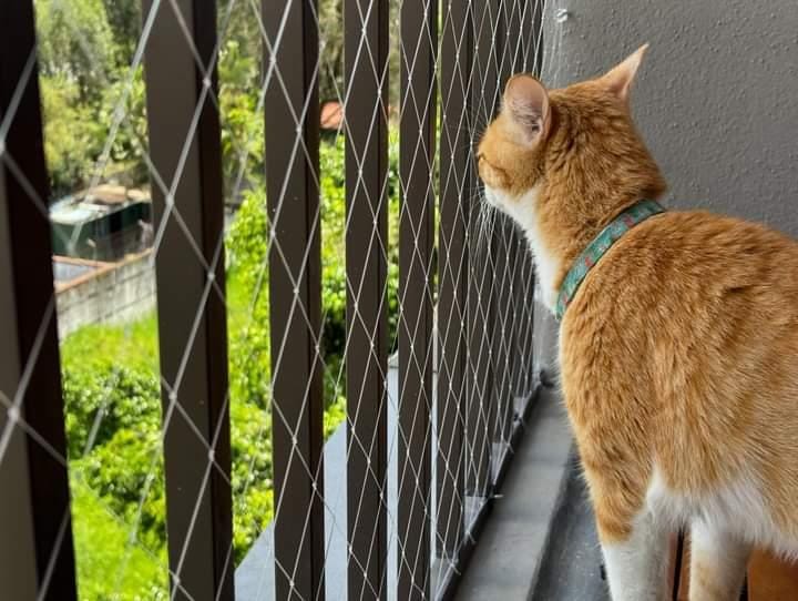 WhatsApp Image 2024-10-15 at 4.34.36 PM (2)