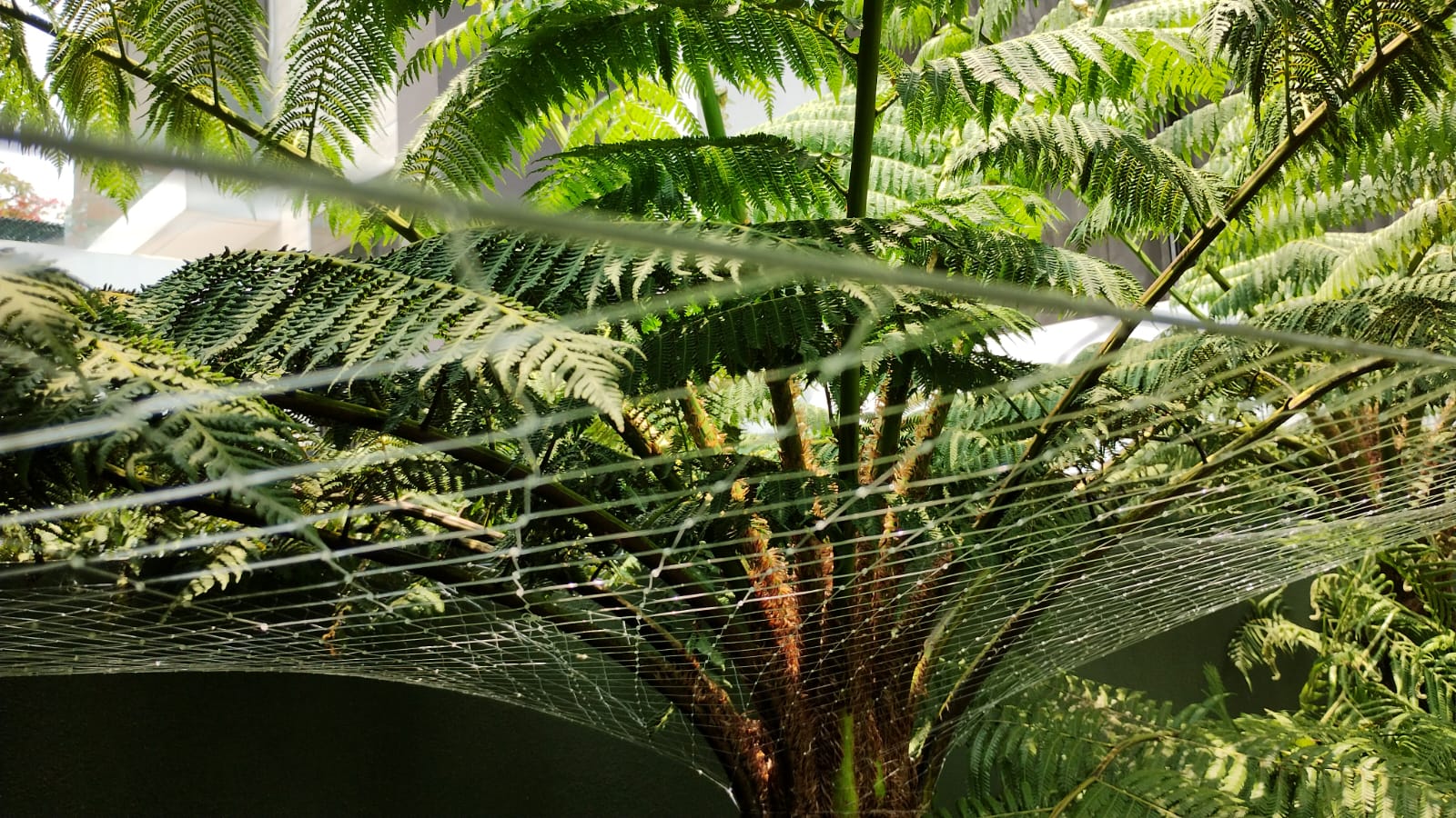 WhatsApp Image 2024-10-15 at 4.34.39 PM (1)