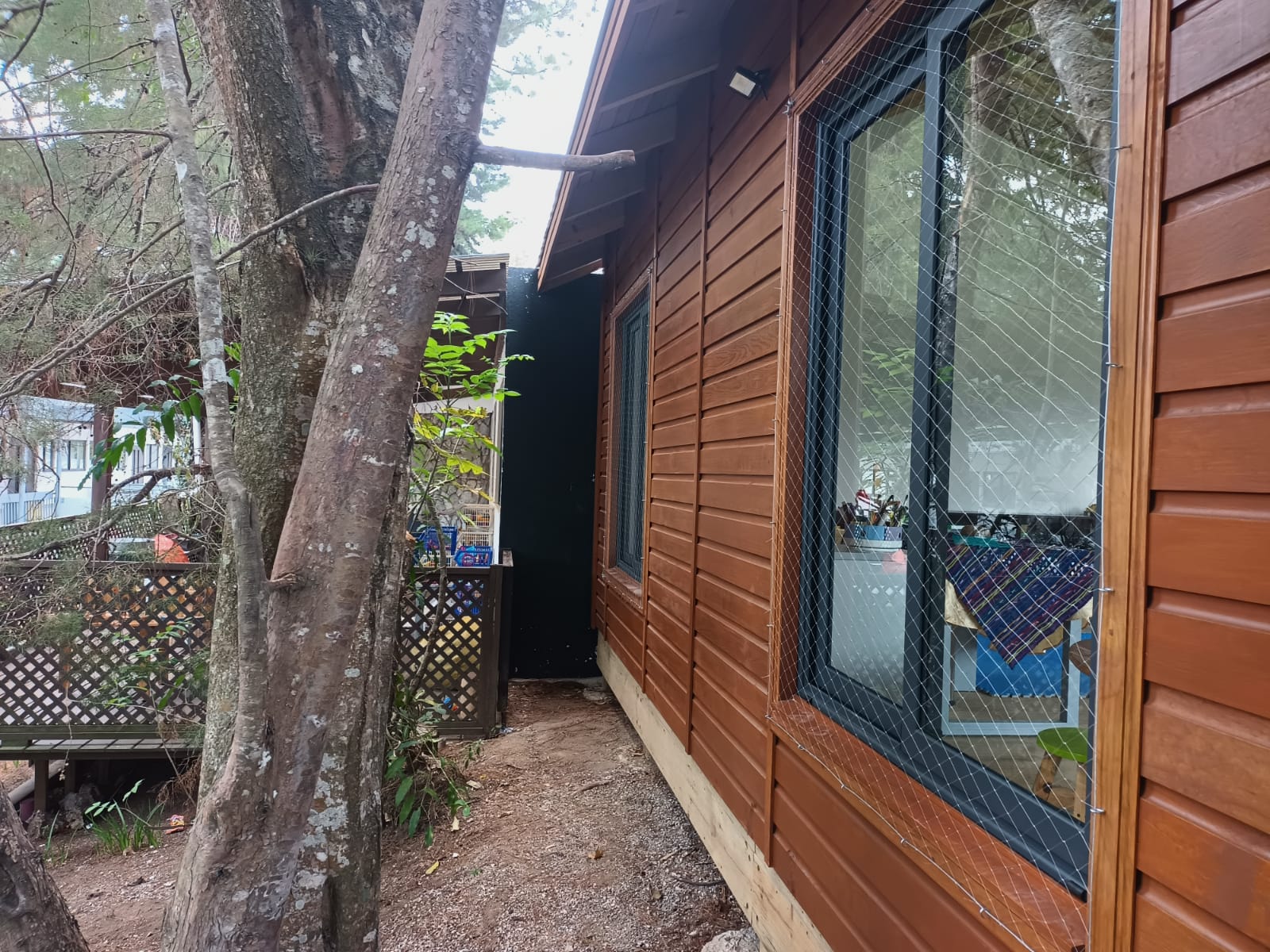 WhatsApp Image 2024-10-15 at 4.34.39 PM (6)